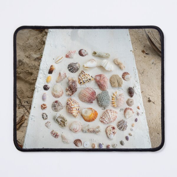 Item preview, Spiral of Shells designed and sold by Julie Navitka.