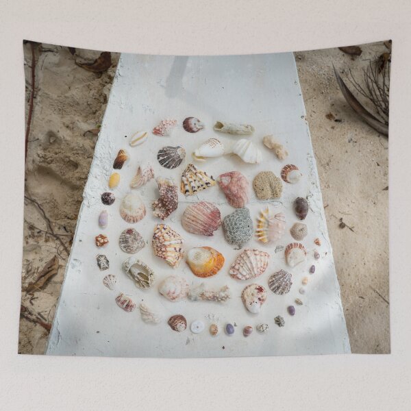 Item preview, Spiral of Shells designed and sold by Julie Navitka.