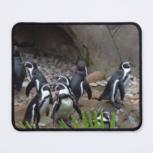 Item preview, Humboldt Penguin  designed and sold by wiggyofipswich.