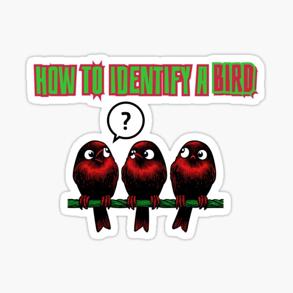 Item preview, How To Identify A Bird designed and sold by AlchemyColor.