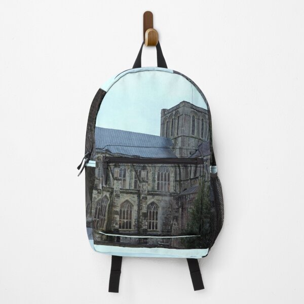 Item preview, Winchester Cathedral designed and sold by pinkal.