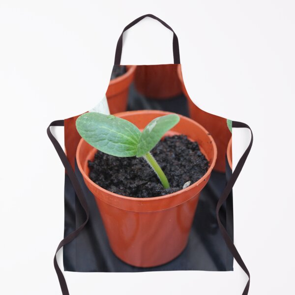 Item preview, Courgette seedling designed and sold by pinkal.