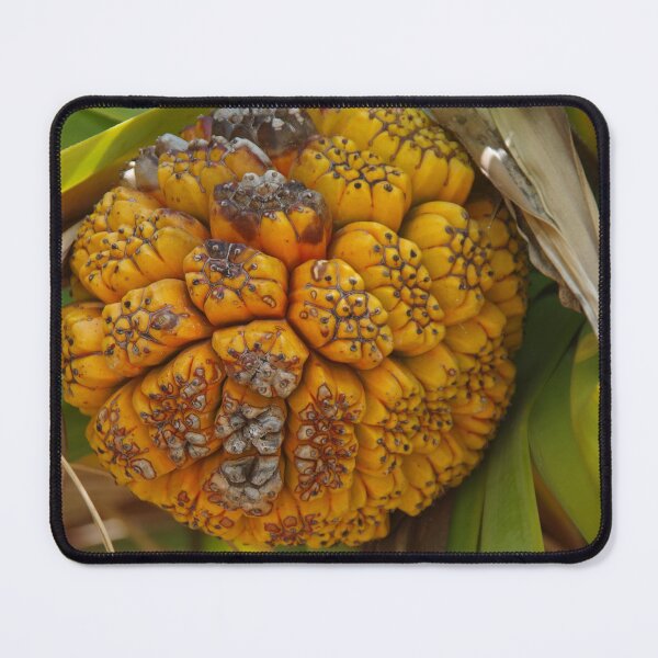 Item preview, Palm Tree Flower Bud designed and sold by lezvee.