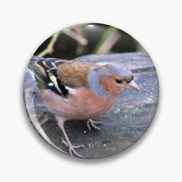 Item preview, chaffinch designed and sold by KathleenDawson.