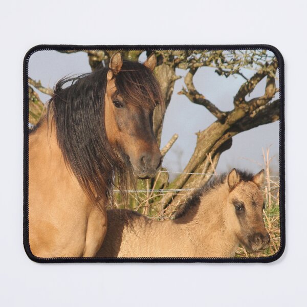 Item preview, Mother and Foal  designed and sold by AnthonyThomas.