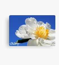 Sunny Side Up Canvas Print