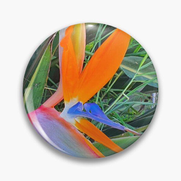 Item preview, estrelícia. strelitzia designed and sold by Tereza Pilar  Art.