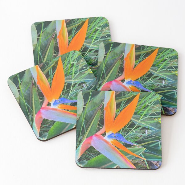 Item preview, estrelícia. strelitzia designed and sold by Tereza Pilar  Art.