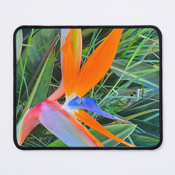 Item preview, estrelícia. strelitzia designed and sold by Tereza Pilar Art.
