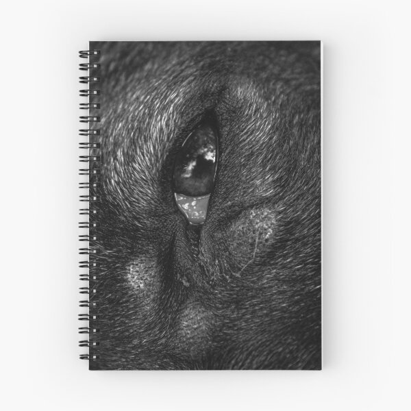 Item preview, Canine look designed and sold by felipequeiroz.