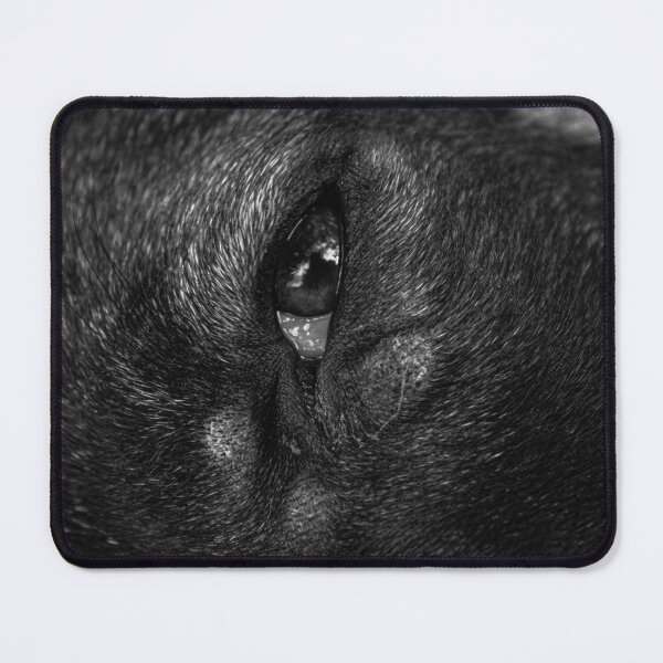 Item preview, Canine look designed and sold by felipequeiroz.
