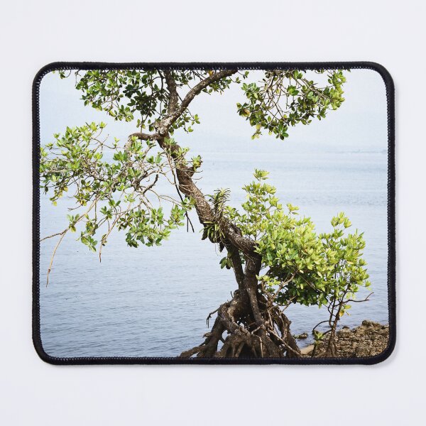 Item preview, Lonely and Proud - A Tree on the Gokarna Coast designed and sold by franck380.