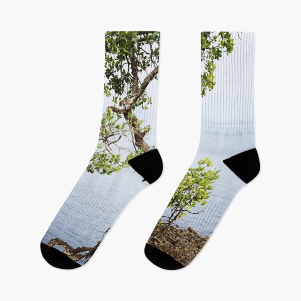 Item preview, Lonely and Proud - A Tree on the Gokarna Coast designed and sold by franck380.
