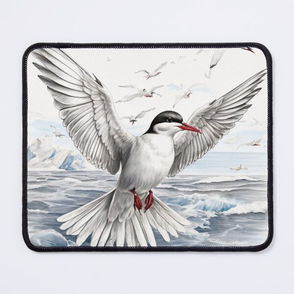 Item preview, Black and White Arctic Tern Pencil Drawing! designed and sold by Pencil-Art.