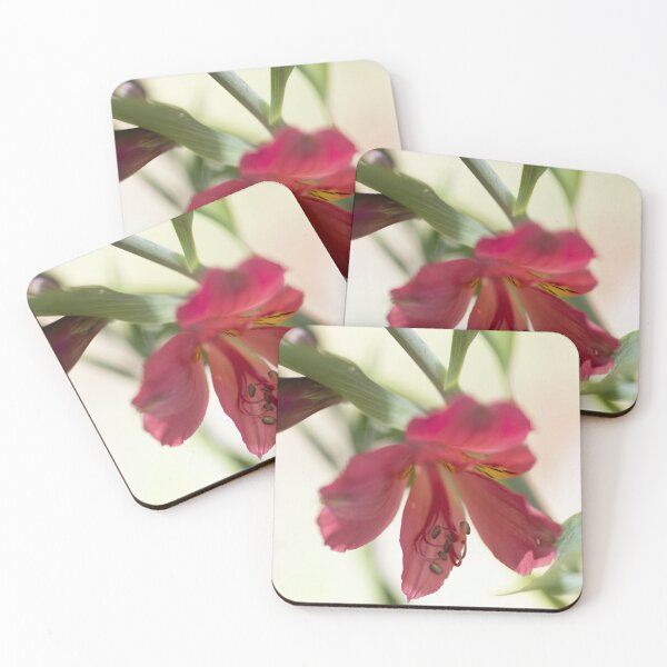 Item preview, Tall Alstromeria- Rosita designed and sold by imaginethis.