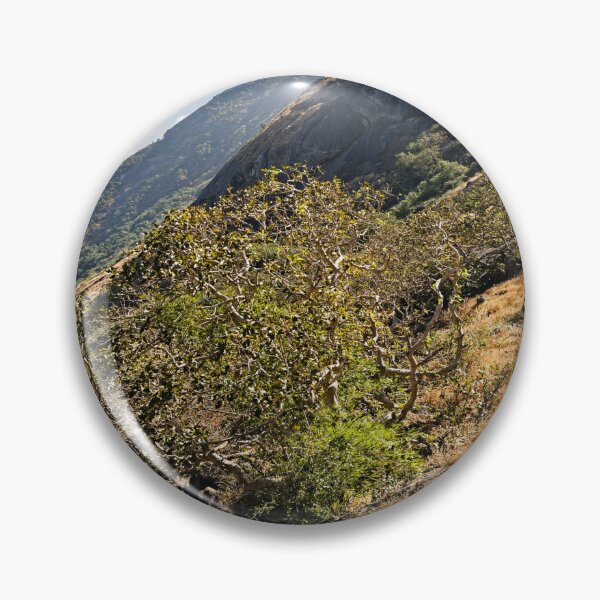 Item preview, Fascinating landscape of Mount Girnar, between nature and history designed and sold by franck380.