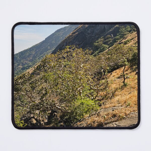 Item preview, Fascinating landscape of Mount Girnar, between nature and history designed and sold by franck380.
