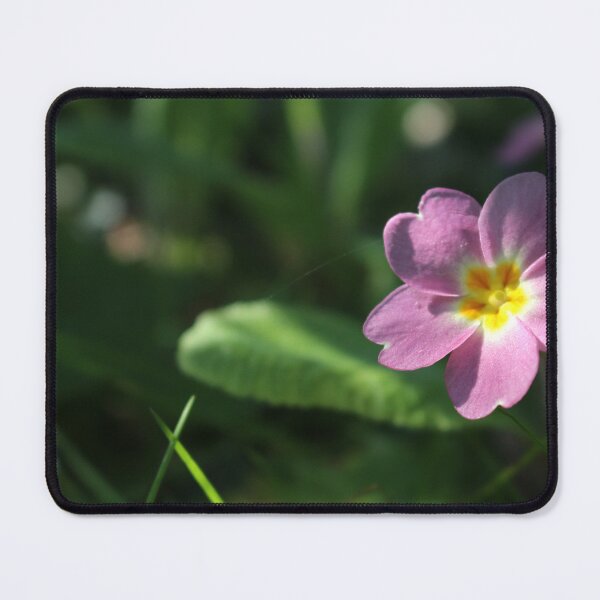 Item preview, Pink Primrose designed and sold by pinkal.