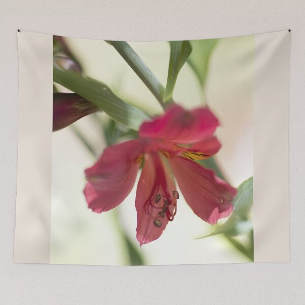 Item preview, Tall Alstromeria- Rosita designed and sold by imaginethis.