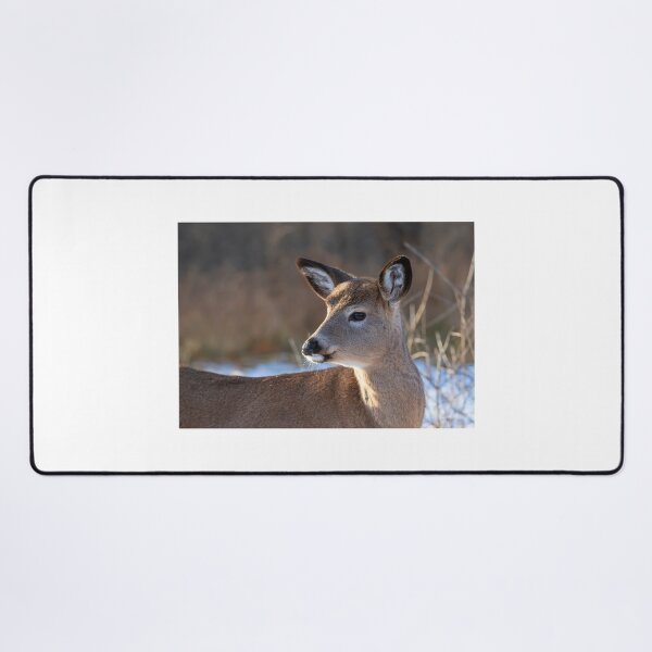 Item preview, Deer fawn in Autumn designed and sold by James Cumming.
