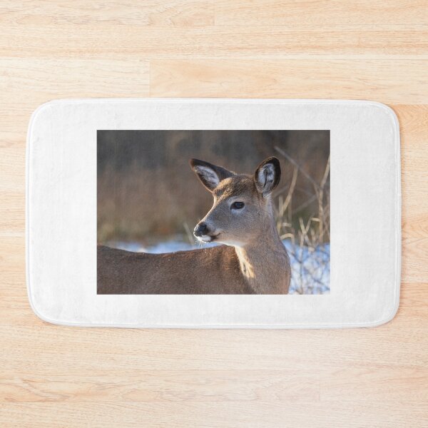 Item preview, Deer fawn in Autumn designed and sold by James Cumming.
