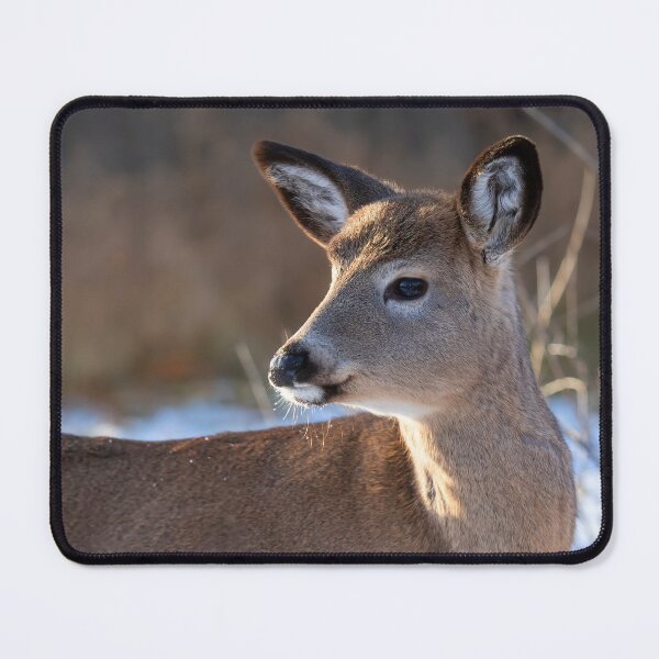 Item preview, Deer fawn in Autumn designed and sold by James Cumming.