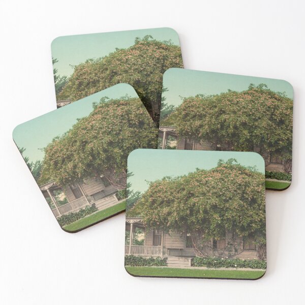 Item preview, House in Pasadena, California designed and sold by 19th Century in Color.