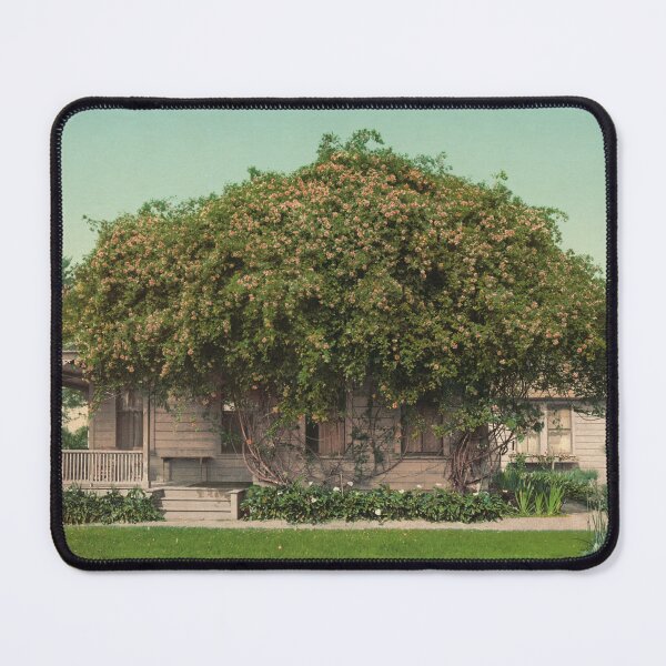 Item preview, House in Pasadena, California designed and sold by 19th Century in Color.