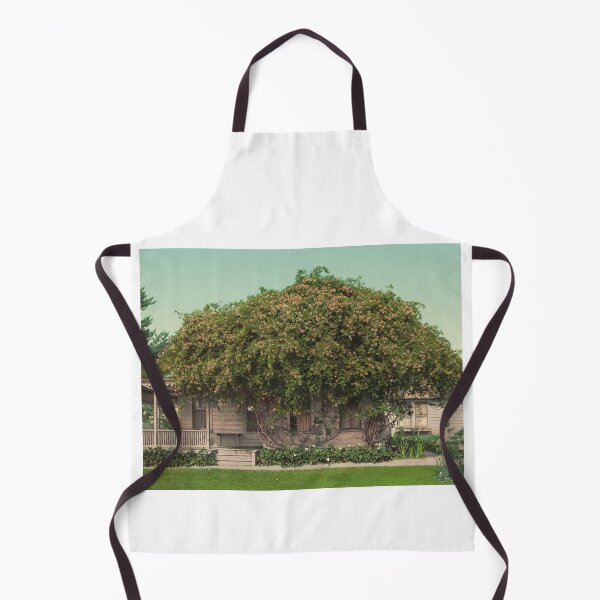 Item preview, House in Pasadena, California designed and sold by 19th Century in Color.