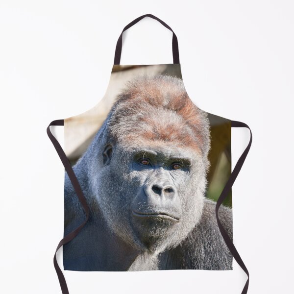 Item preview, Close-Up of Silverback Gorilla designed and sold by rawshutterbug.