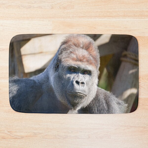 Item preview, Close-Up of Silverback Gorilla designed and sold by rawshutterbug.