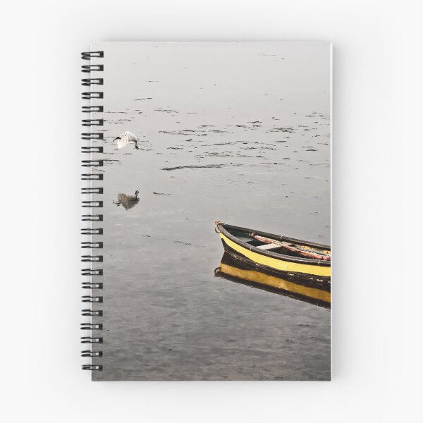 Item preview, Colorful boats resting at low tide in Diu, Gujarat designed and sold by franck380.