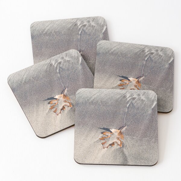 Item preview, Natural Still Life with a Single Oak Leaf designed and sold by Georgia Mizuleva.
