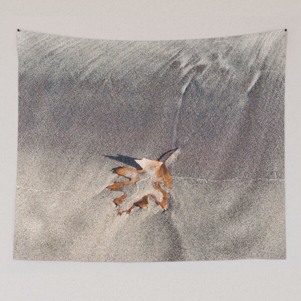 Item preview, Natural Still Life with a Single Oak Leaf designed and sold by Georgia Mizuleva.