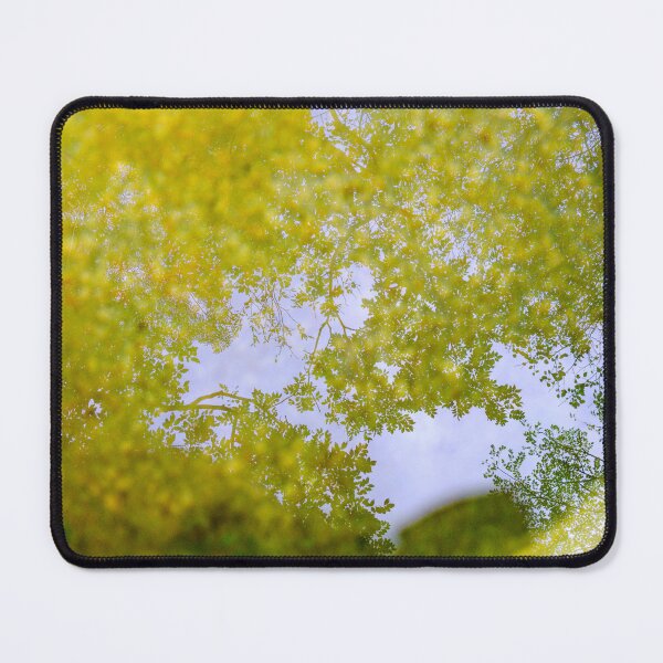 Item preview, Reflections of golden autumn leaves on the surface of a pool of water atop Air Burial, a cylindrical glass sculpture by American artist Roni Horn designed and sold by Pix4Japan.