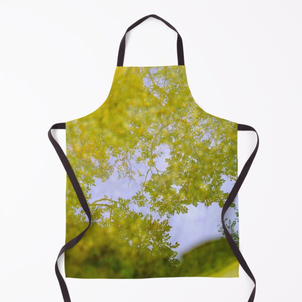 Item preview, Reflections of golden autumn leaves on the surface of a pool of water atop Air Burial, a cylindrical glass sculpture by American artist Roni Horn designed and sold by Pix4Japan.