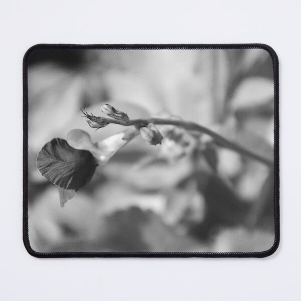 Item preview, Wild Bush Bean On Lake Apopka Wildlife Drive Monochrome designed and sold by MercerImages.