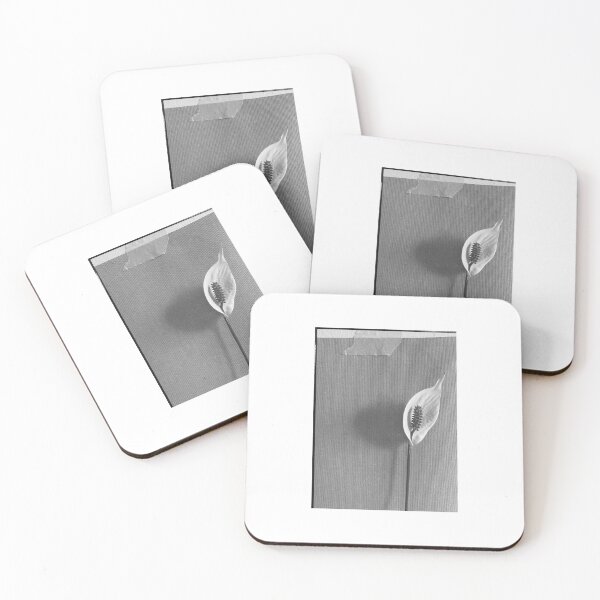 Artikelvorschau, Schwarz-weiße Blumenfotografie entworfen und verkauft von Oksana Khavro.