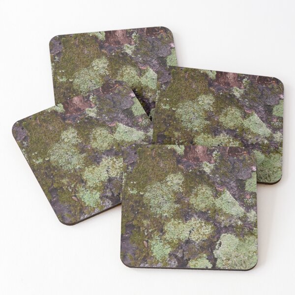 Item preview, In the forest in autumn designed and sold by Claude Laprise.