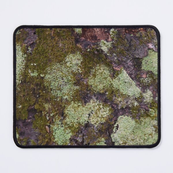 Item preview, In the forest in autumn designed and sold by Claude Laprise.
