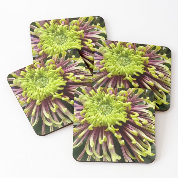 Item preview, Exotic flower designed and sold by Colourful Wonderful.