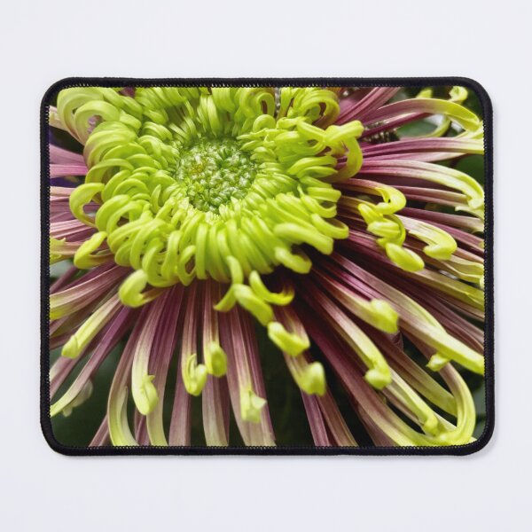 Item preview, Exotic flower designed and sold by Colourful Wonderful.