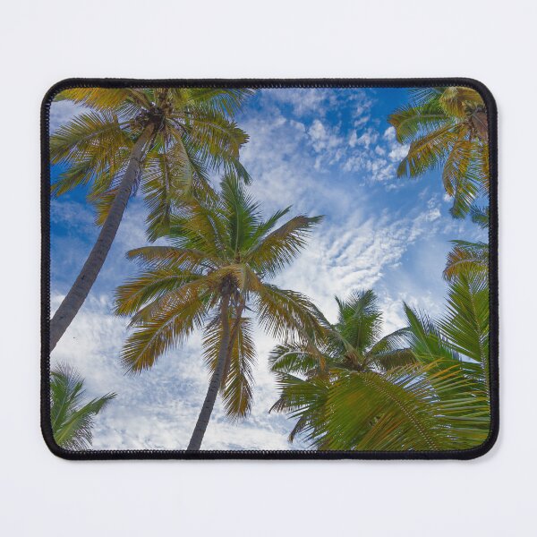 Item preview, Vibrant photo showcasing a stunning tropical palm TREEZ look up scene in the Dominican Republic designed and sold by EyezWatchin.