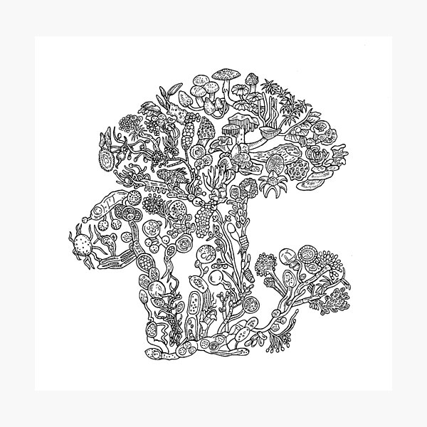 Item preview, Fungi - Black and White - Evolution  designed and sold by EvolutionPoster.