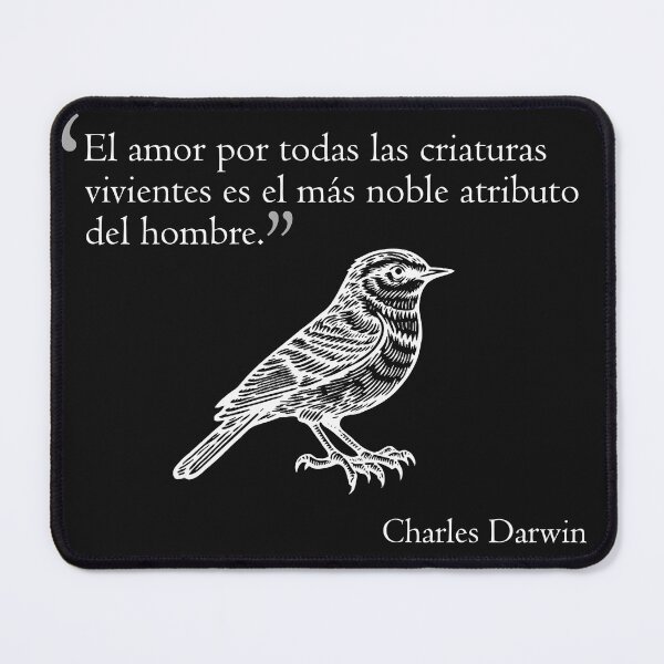 Item preview, Darwing Phrase designed and sold by LaCarroca.