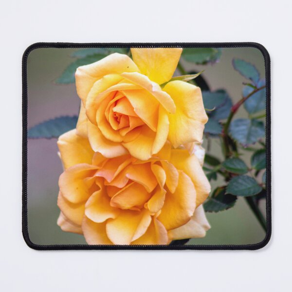 Item preview, A rose by any other name designed and sold by ValueEveryThing.