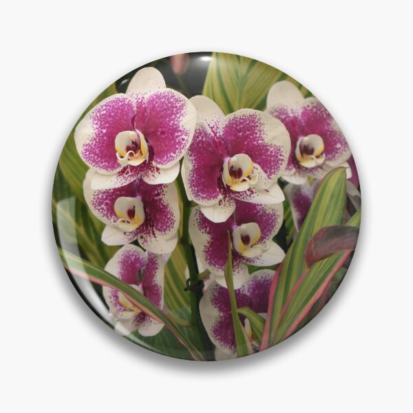 Aperçu de l'œuvre Orchidées violettes au Bellagio créée et vendue par MangoSeeds.