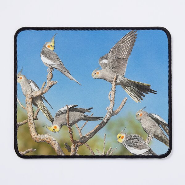 Item preview, Rise and Shine (Cockatiels) designed and sold by Frances McMahon Watercolour Bird Artist.