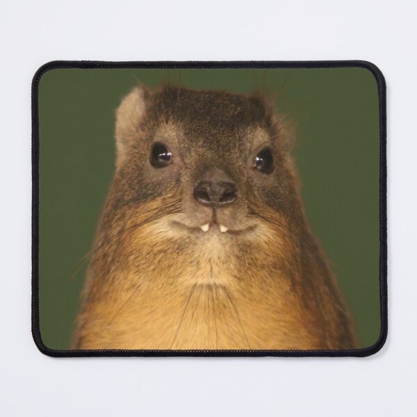 Item preview, Rock Hyrax Photo - Dassie | Cute Vampire Potato Essential T-Shirt designed and sold by matchakpop.