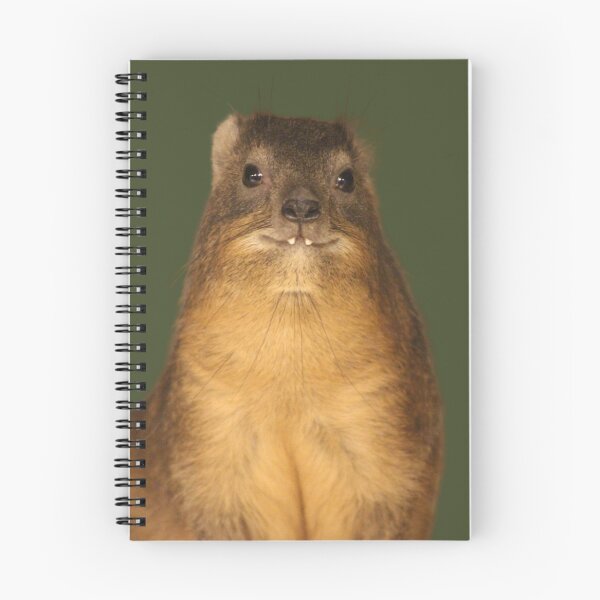Item preview, Rock Hyrax Photo - Dassie | Cute Vampire Potato Essential T-Shirt designed and sold by matchakpop.